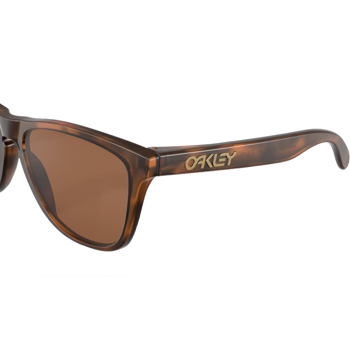 Frogskins - Matte Tortoise/Prizm Tungsten alternate view