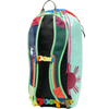 Cotopaxi Luzon Del Dia 18L Daypack back