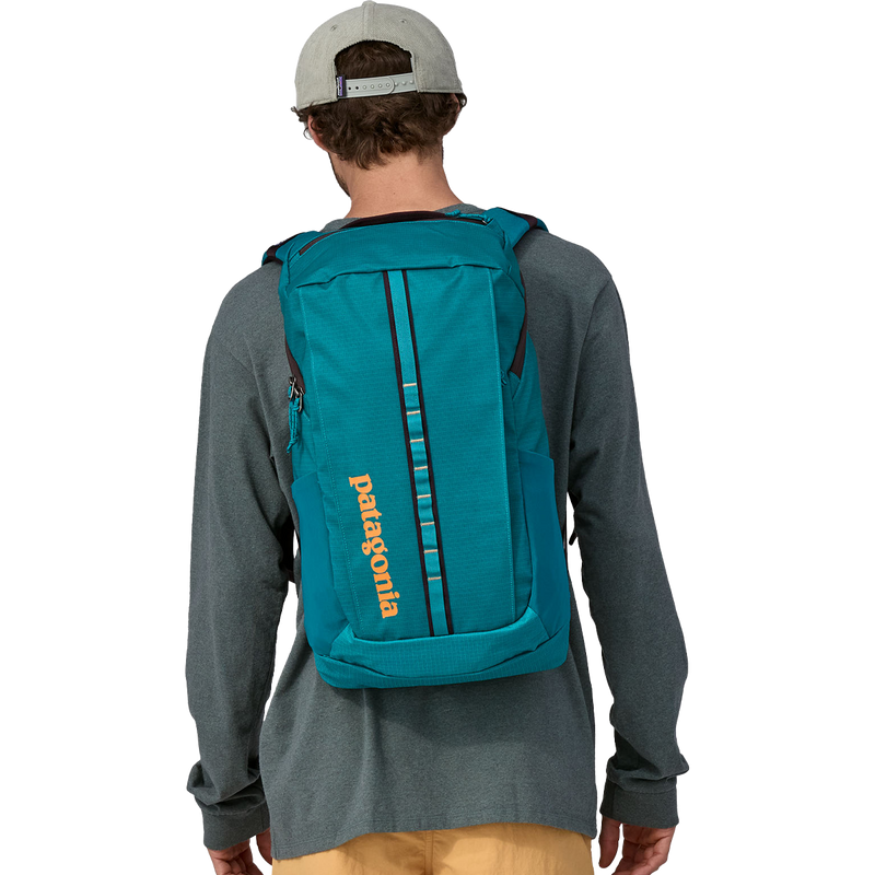 Black Hole Pack 25L, Patagonia Black Hole Pack 25L on model back
