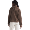 The North Face Women’s Chabot Hoodie back