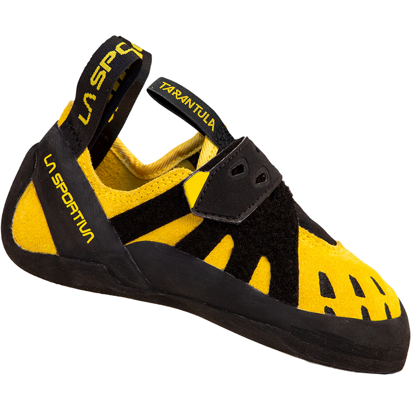 Youth Tarantula Jr, Featured Image