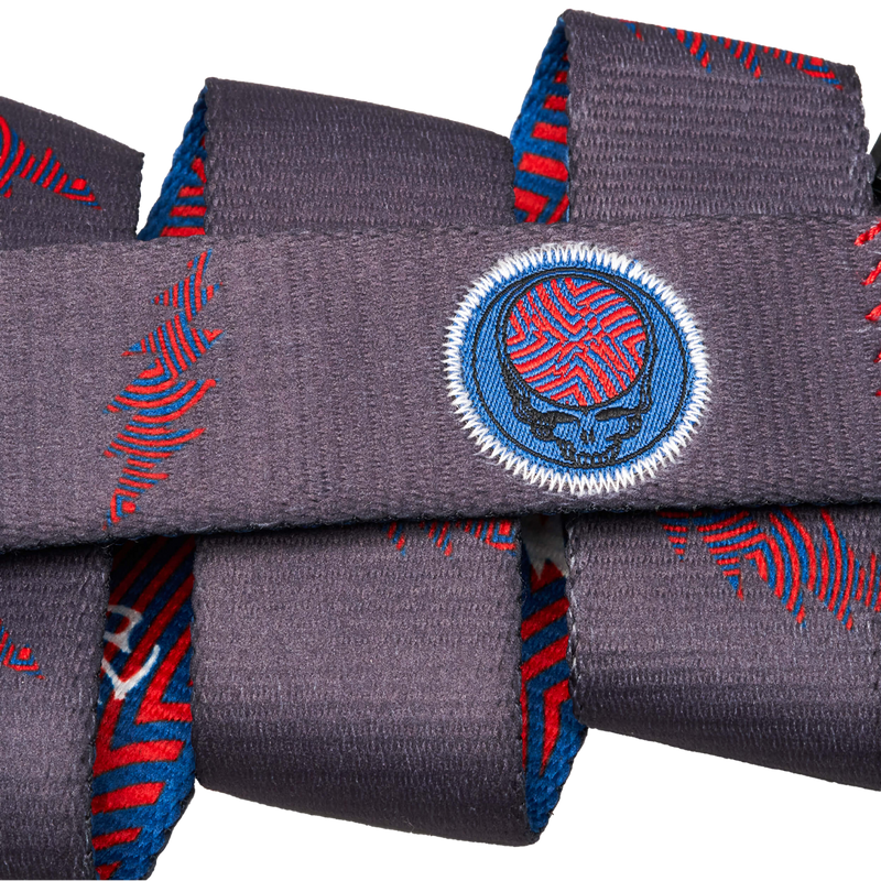 Grateful Dead We Are Everywhere