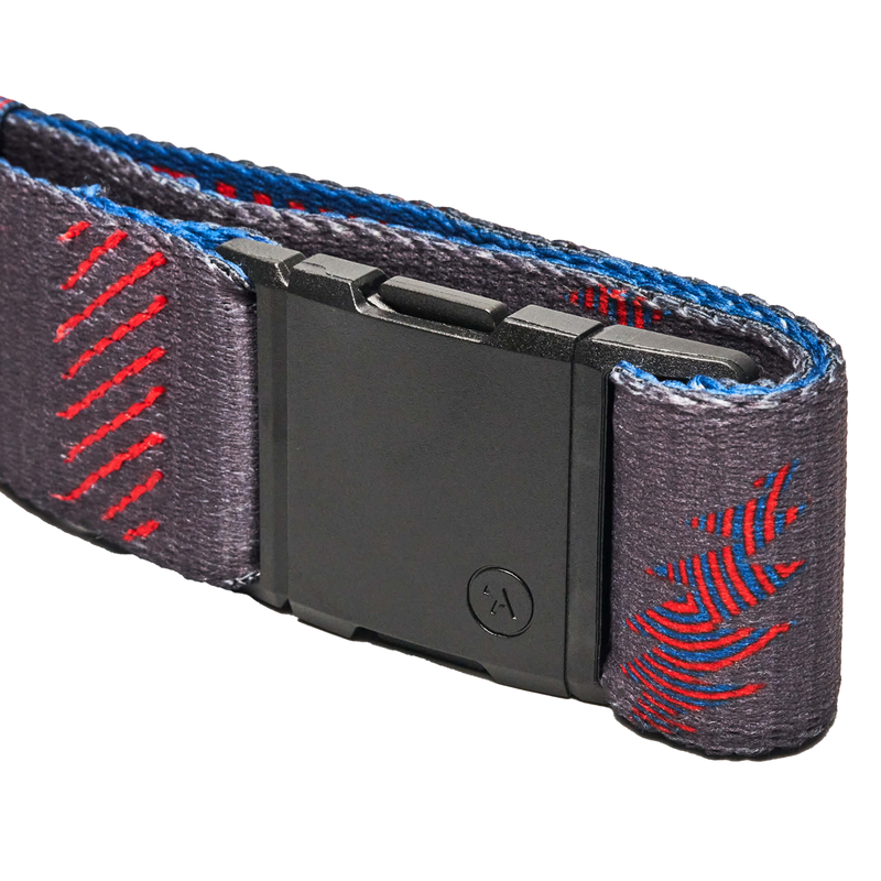 Grateful Dead We Are Everywhere