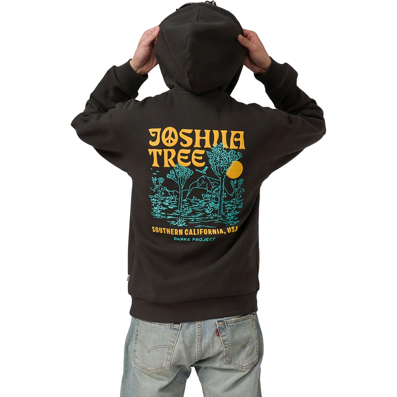 Joshua Tree DIY Hoodie, Featured Image