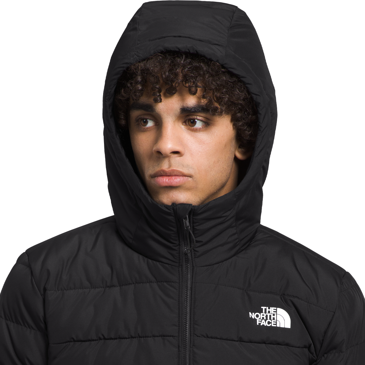 The north face discount men's aconcagua hoodie jacket