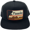 Bart Bridge Pinnacles Trucker in Black