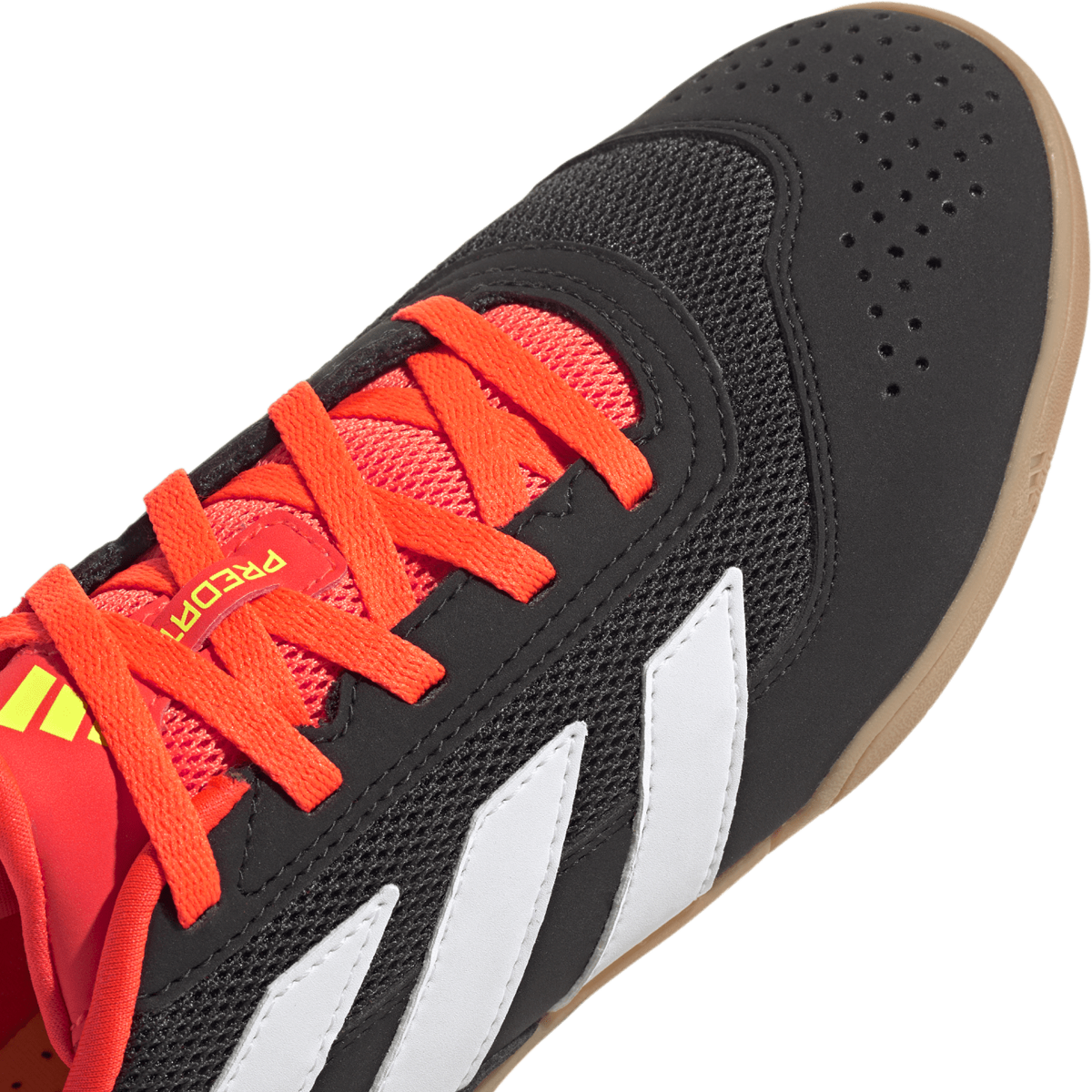 Youth Predator Club Indoor Sala Sports Basement