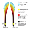 MVP Disc Sports Fission Octane flight path