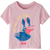 FRPL-Free Ride/Peaceful Pink