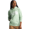 The North Face Women's Half Dome Pullover Hoodie in Misty Sage front