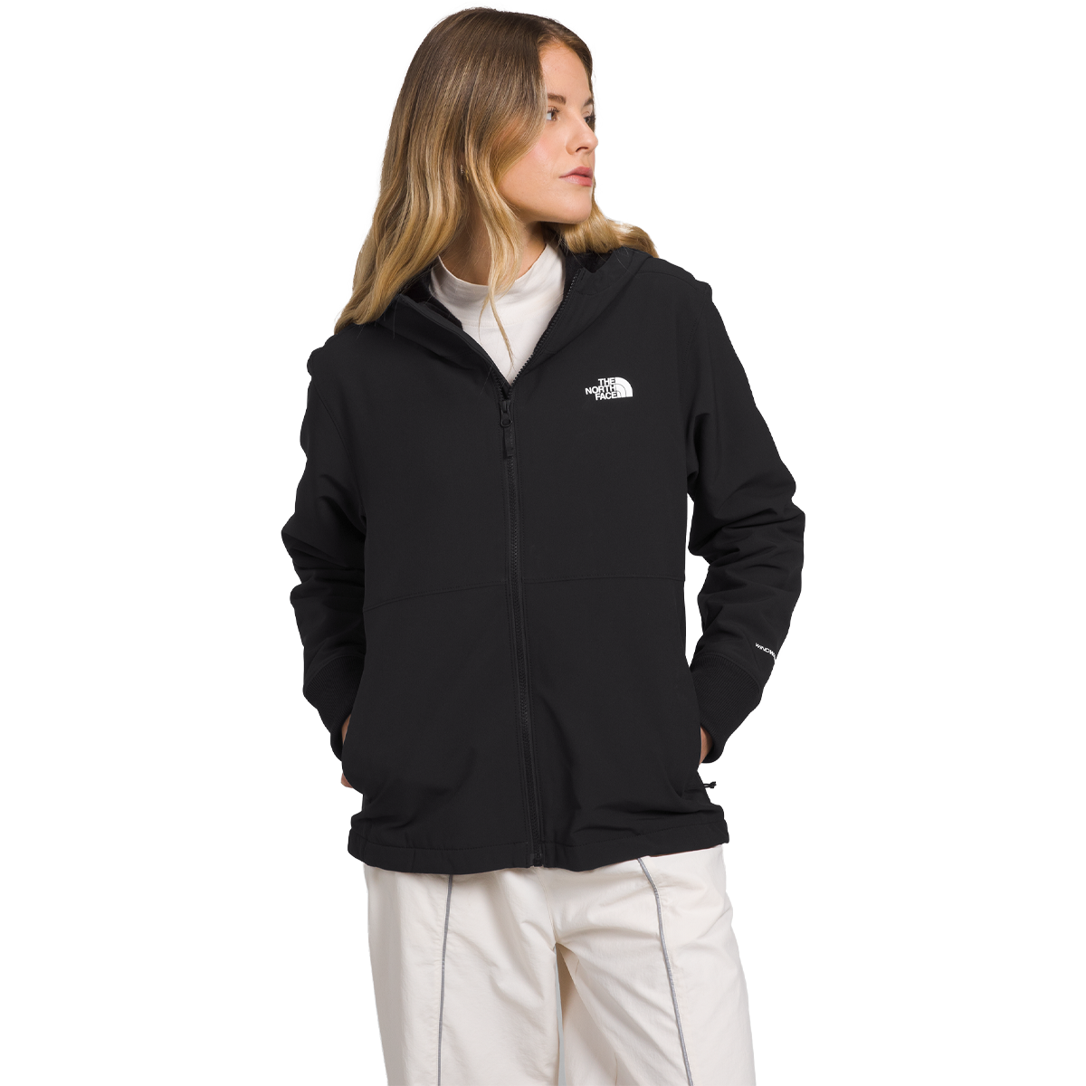 The North Face Women’s Shelbe Raschel Parka Length With selling Hood (MED)