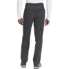 The North Face Men's Paramount Pant in 4EN-Asphalt Grey back