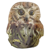 One Ball Jay Owl
