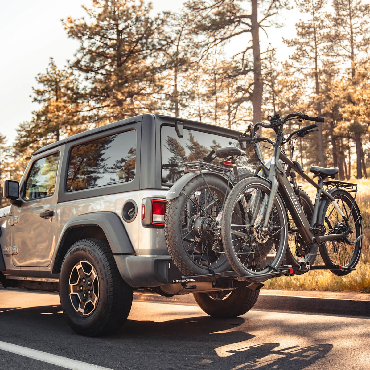 Aventon Hitch Rack - Foldable alternate view