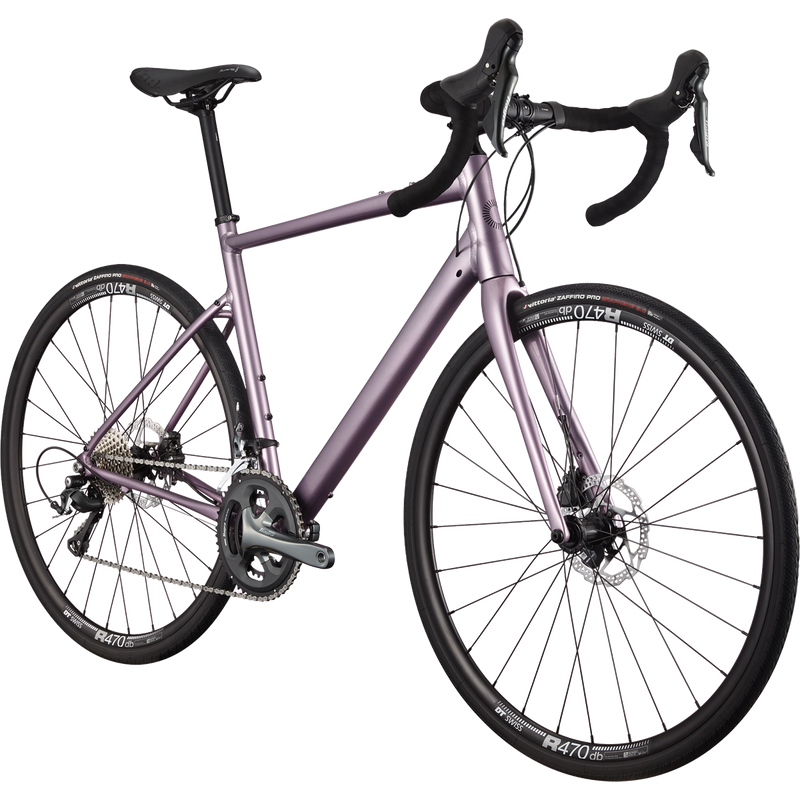 Synapse 2 – Sports Basement