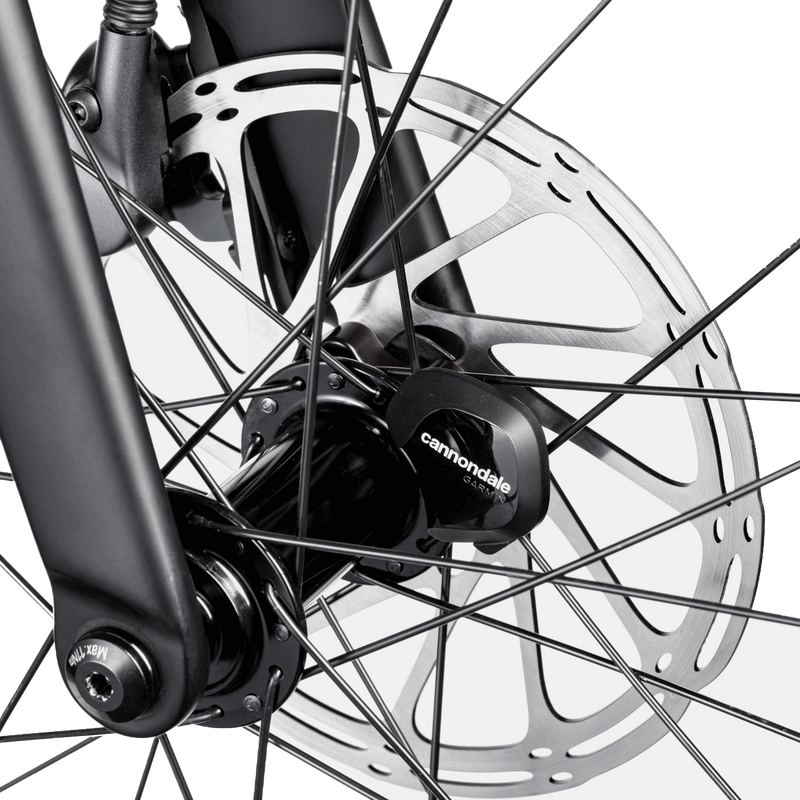 Synapse 2 – Sports Basement