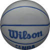 Wilson NBA DRV Basketball 27.5" top