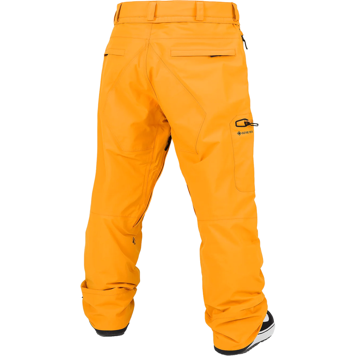 Men's L Gore-Tex Pant alternate view