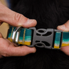 Ruffwear Crag Reflective Dog Collar on dog