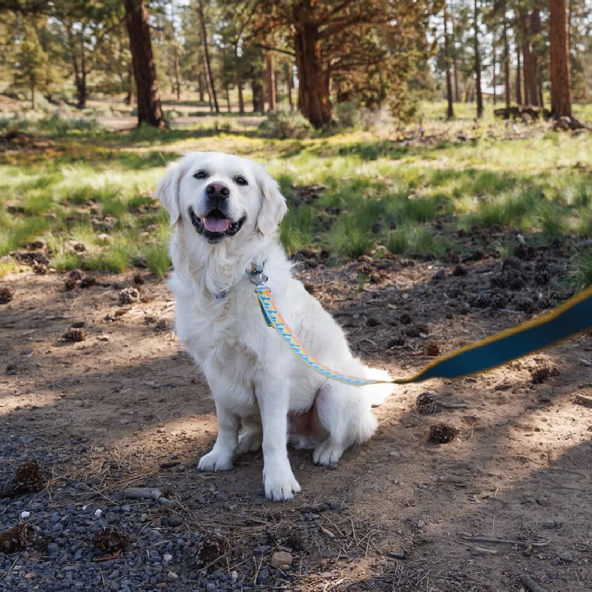 Crag Reflective Dog Leash alternate view