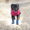 Ruffwear Hi and Light Trail Shoes on happy running dog