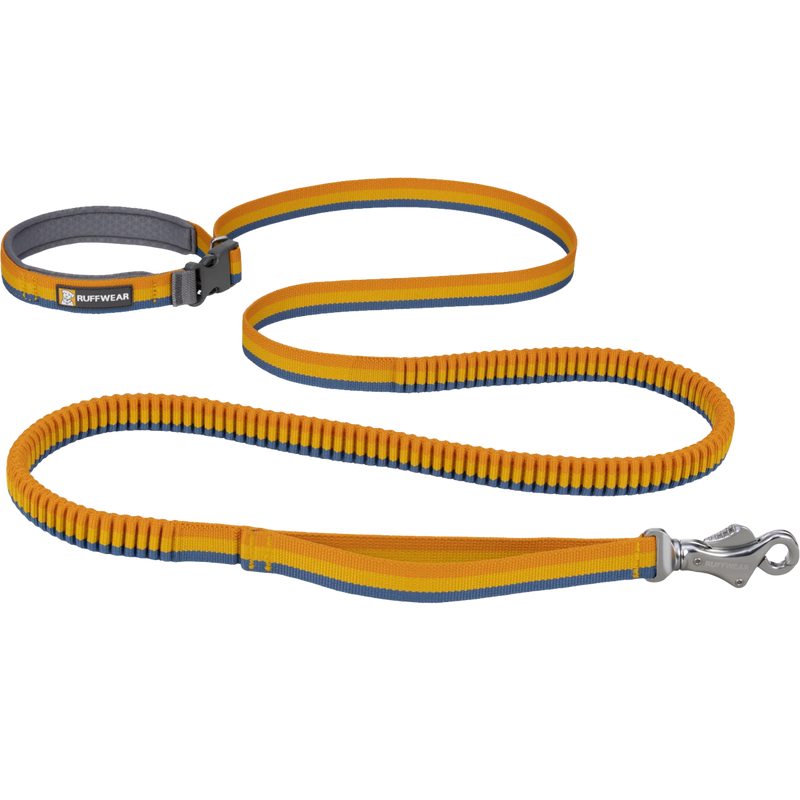 Roamer Bungee Leash, Featured Image