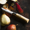 Opinel No. 06 Stainless Steel Folding Knife with fruit