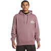 Quiksilver Omni Logo Hoodie in Grape Shake