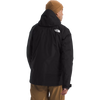 The North Face Mountain Light Triclimate Gore-Tex Jacket back