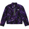 The North Face Fleeski Quarter-Zip Pullover - Women's in Peak Purple 3d Summit Mesh 