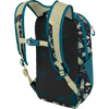 Osprey Youth Daylite Jr back