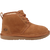 CHE-Chestnut