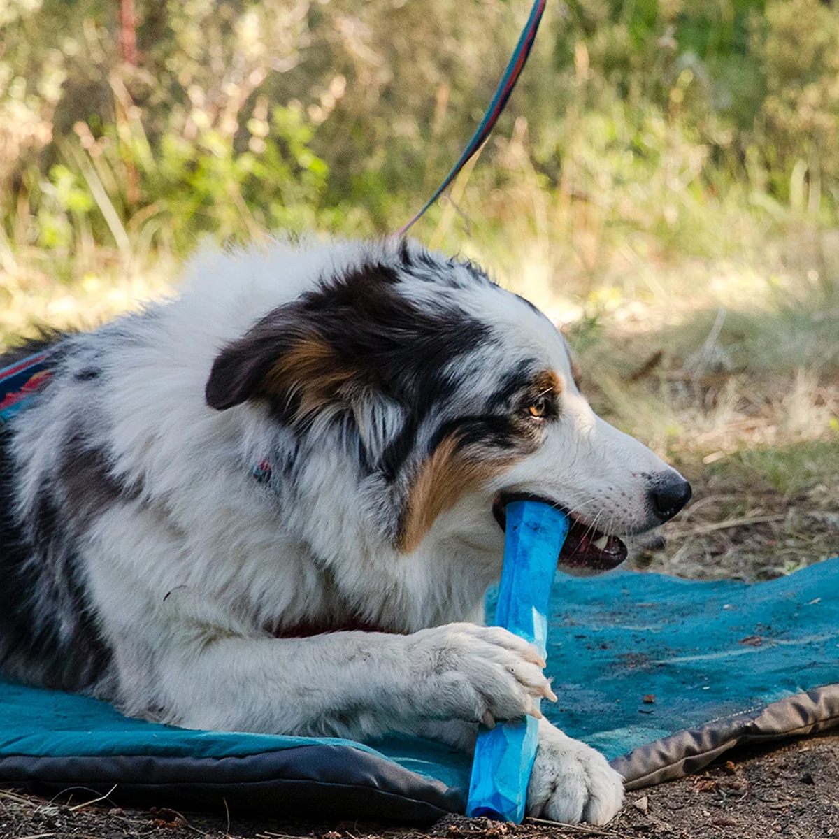 Gnawt-a-Stick Toy alternate view