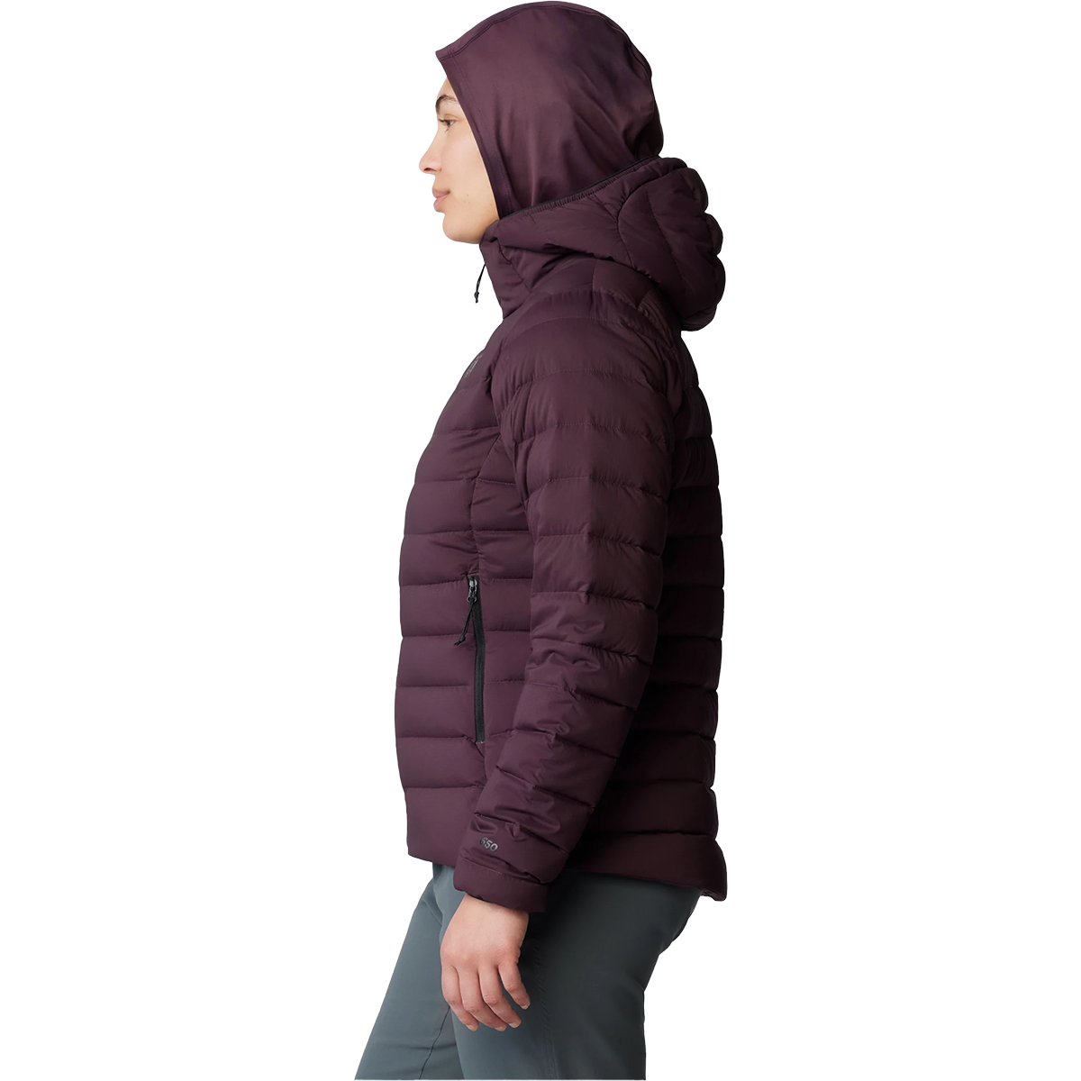 Women's Deloro Down Full Zip Hoody alternate view