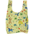 Painted Prairie