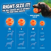 ChuckIt Breathe Right Ball M 2PK size chart