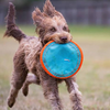 ChuckIt! Amphibious Paraflight with dog