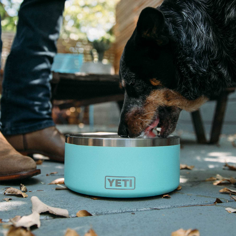 Boomer 8 Dog Bowl – Sports Basement