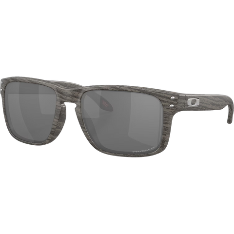 Holbrook Polarized