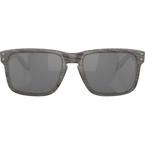 Holbrook Polarized