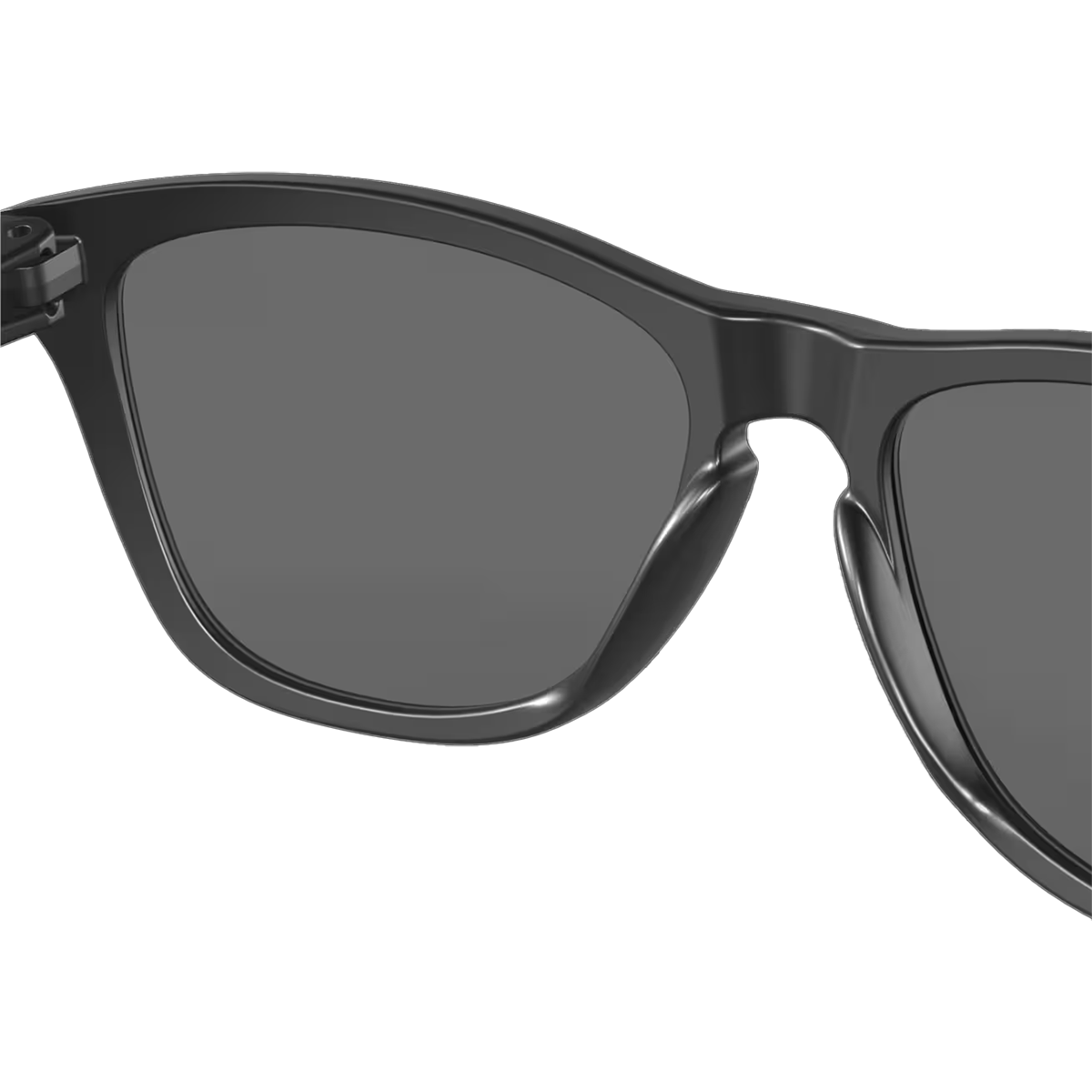 Frogskin Polarized alternate view