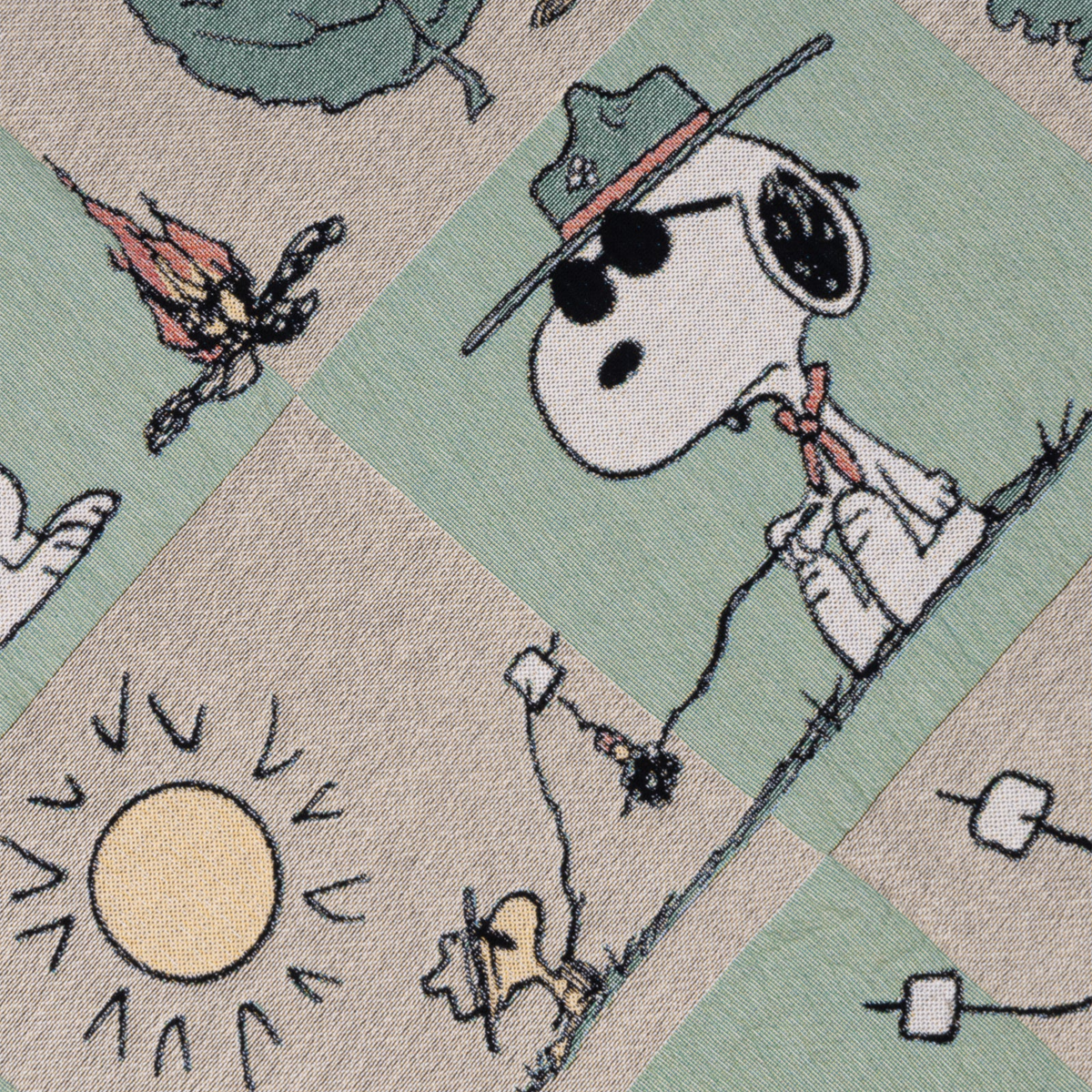 Peanuts x Parks Project Woven Blanket alternate view