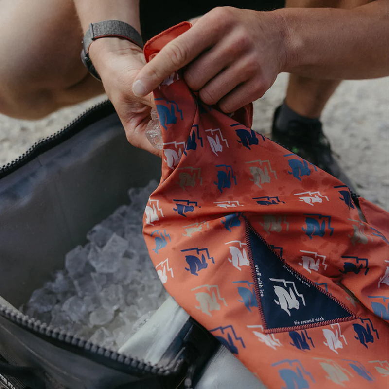 Ice Rad-Dana, Ice Rad-Dana