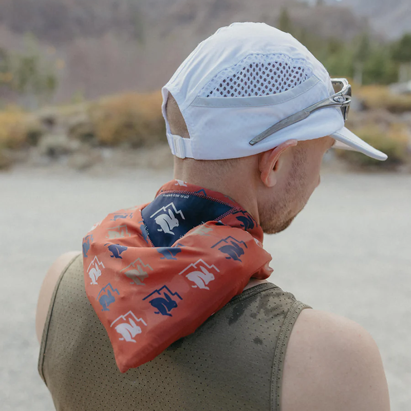 Ice Rad-Dana, Ice Rad-Dana