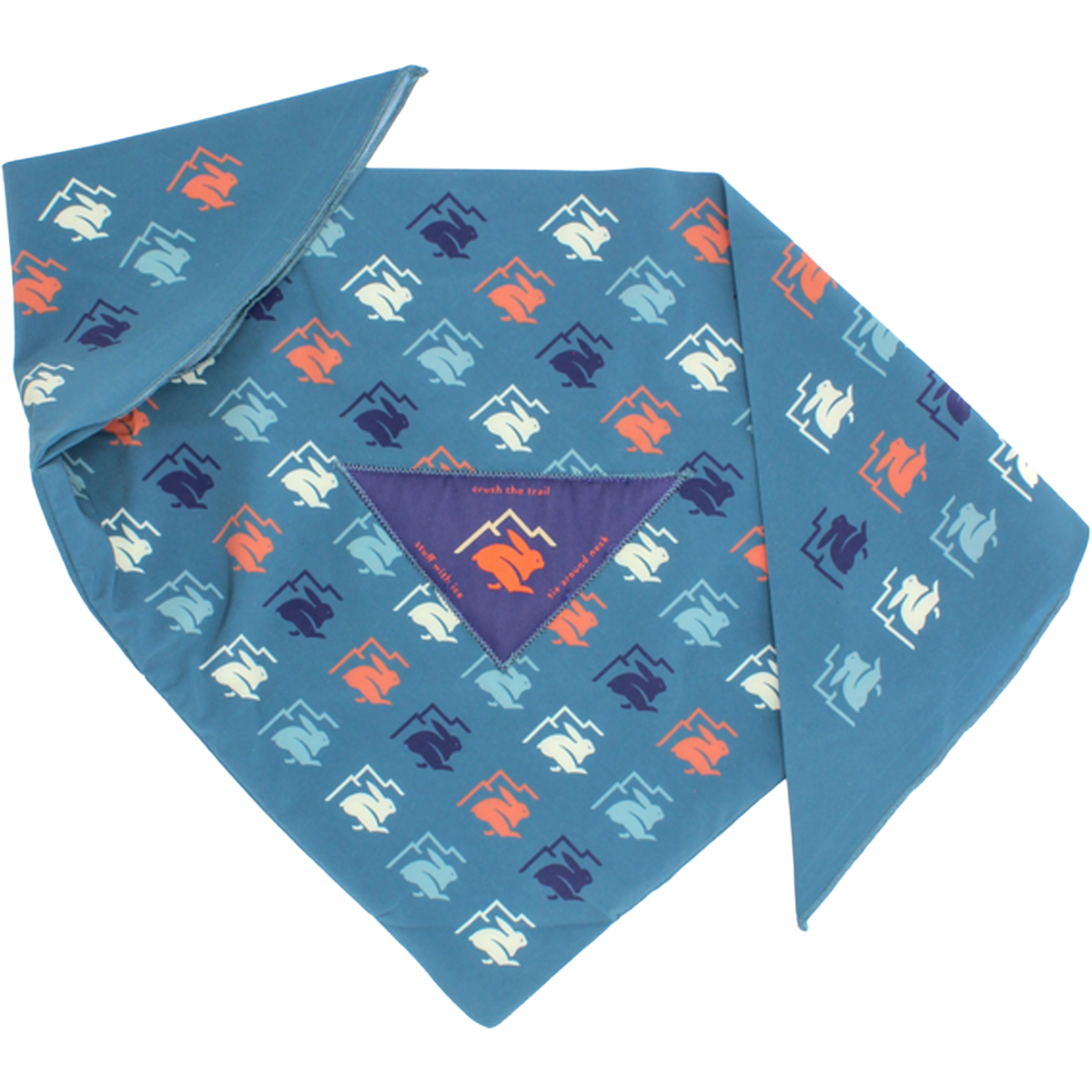 Ice Rad-Dana alternate view