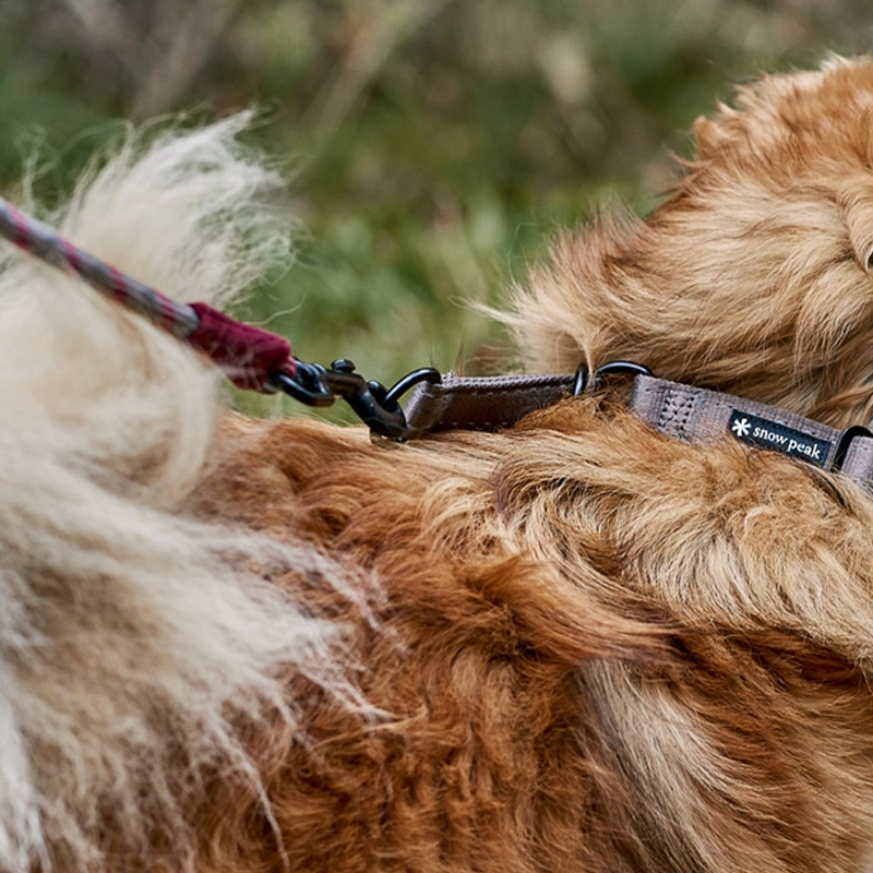 SP Rope Lead S, Snow Peak SP Rope Lead on dog