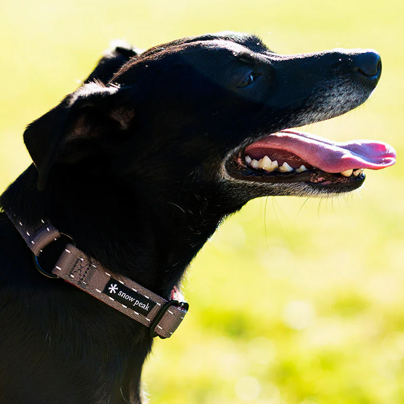 SP Slip Collar L Olive