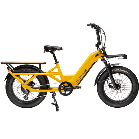 Troxus Lynx Cargo E-Bike