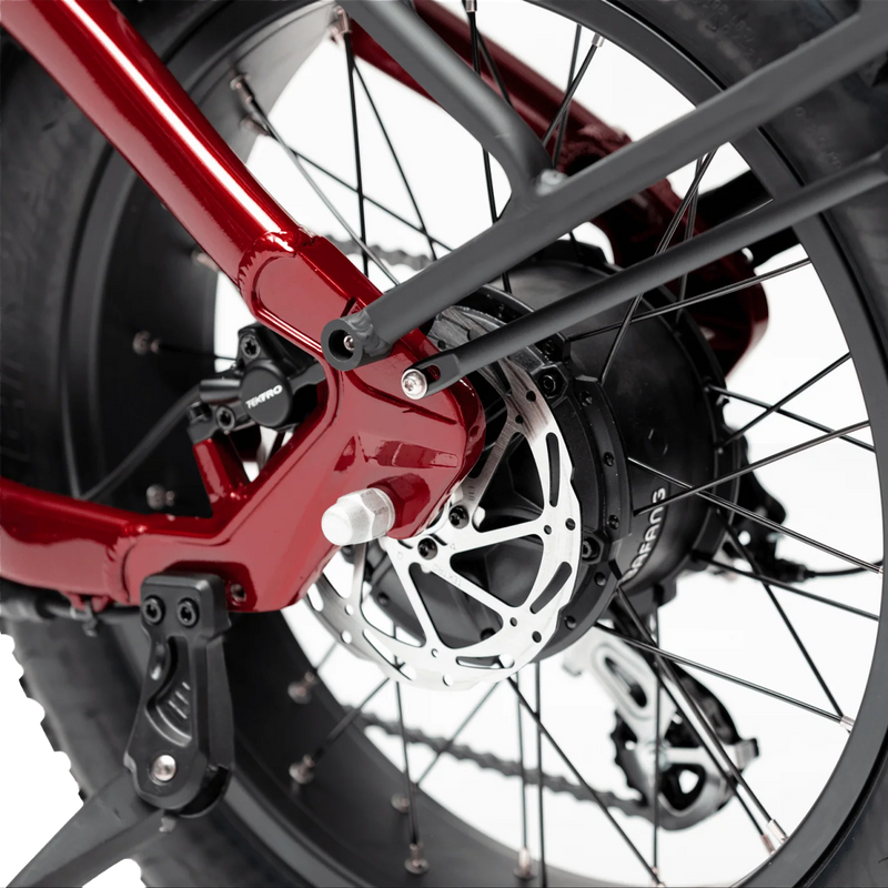 Lynx Plus, Troxus Lynx Plus back hub motor