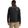 The North Face Men's Terra Peak Vest Back